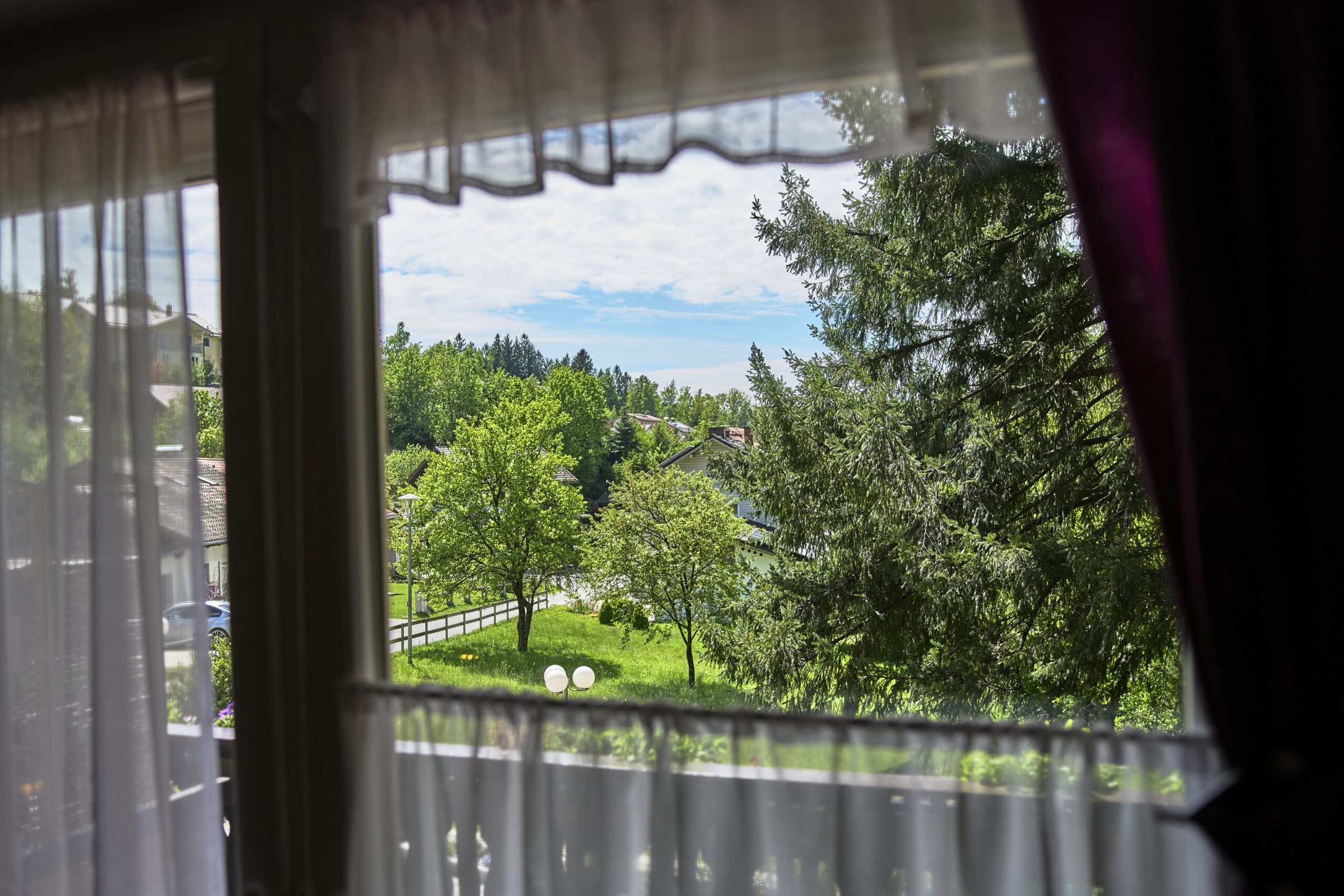 Blick vom Balkon ins Grüne