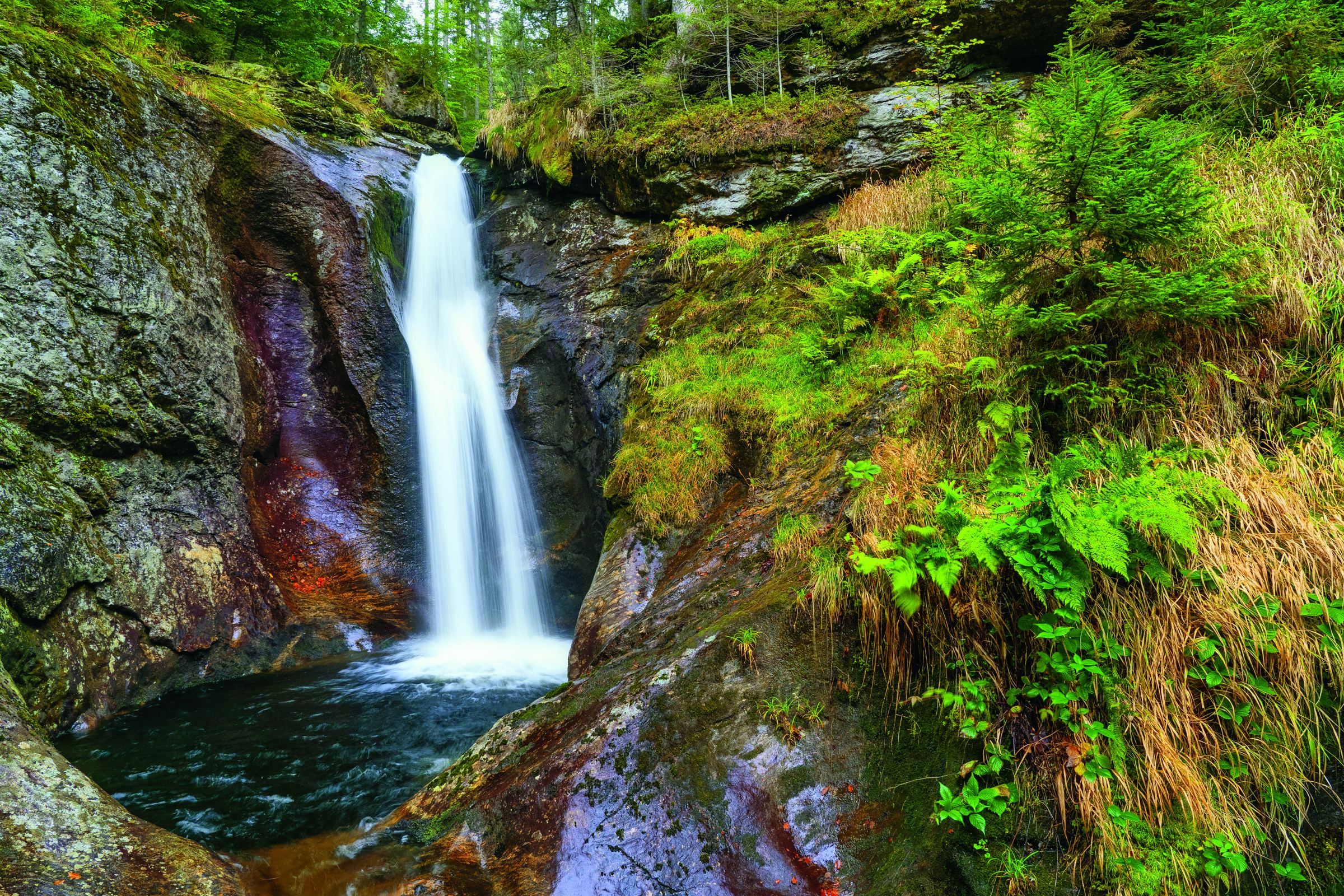 Wasserfall am Hochfall im Wald