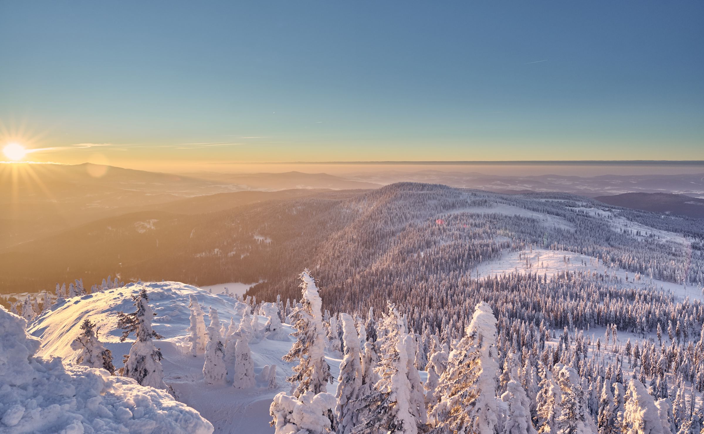 Sonnenaufgang über verschneiten Bäumen am Großen Arber