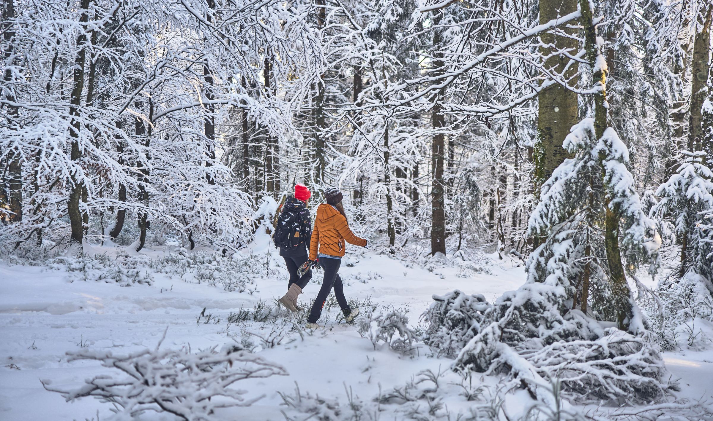 Winterwanderer im verschneiten Wald